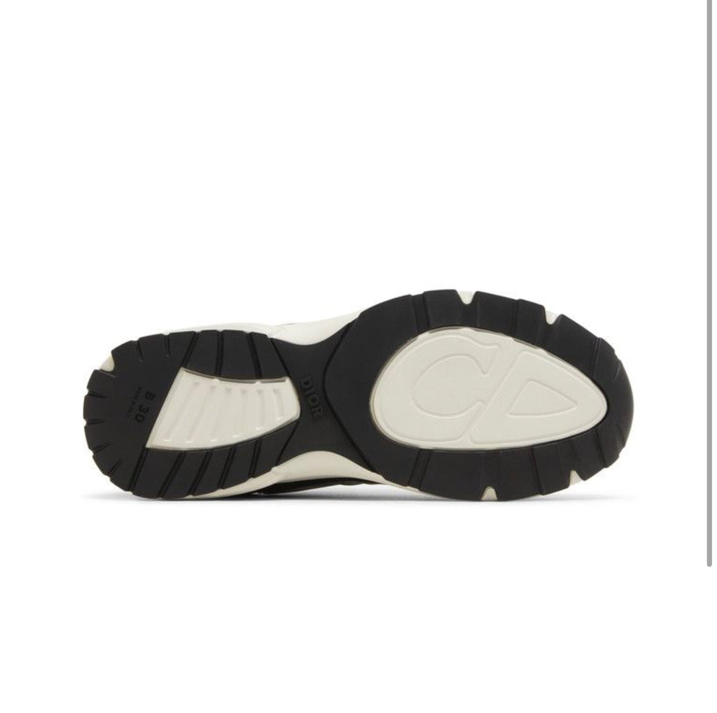 Dior B30 Reflective CD30 Black