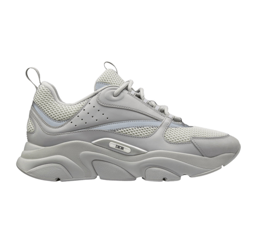 Dior B22 Grey