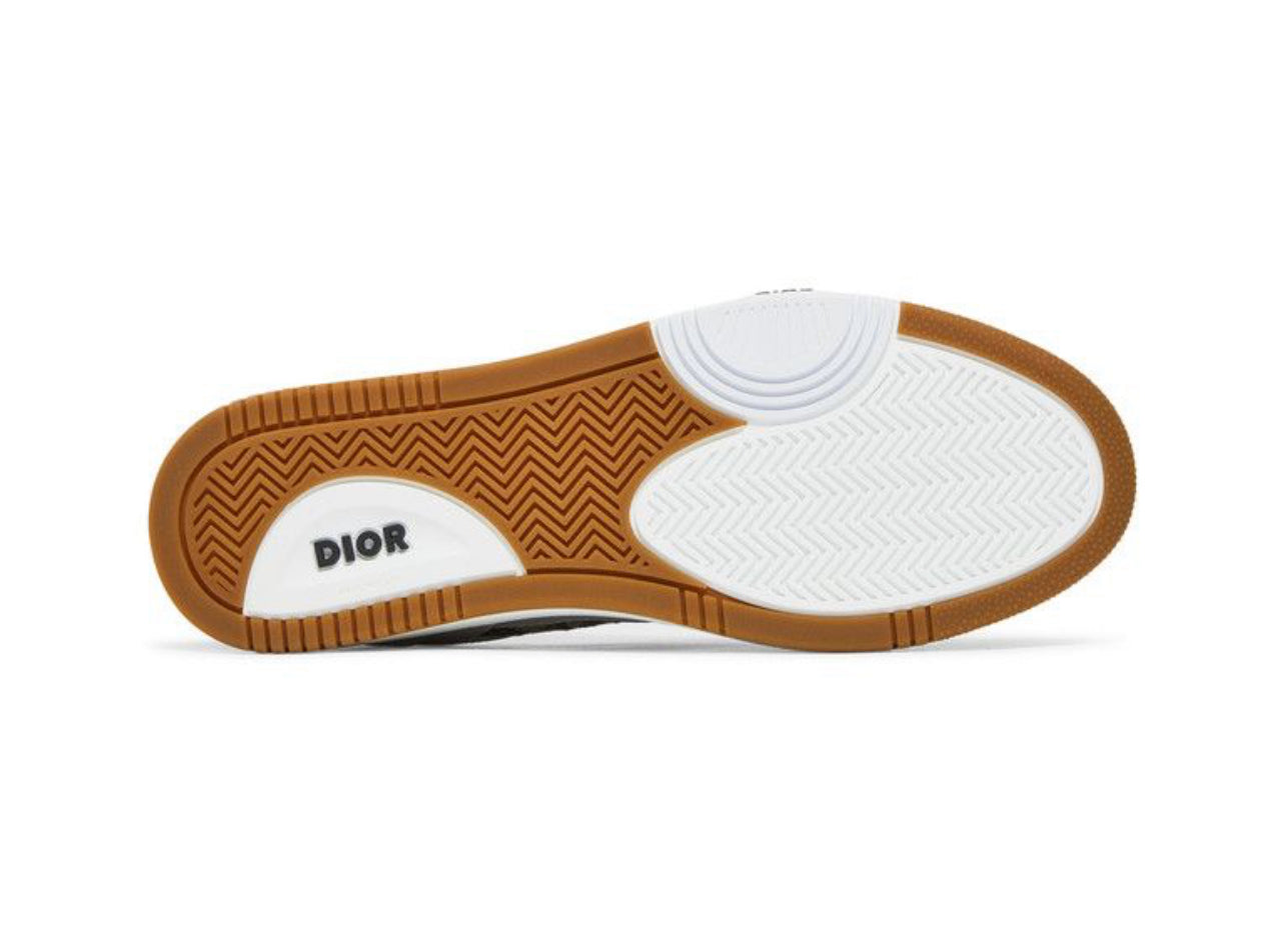 Dior B27 Low Dior Oblique Galaxy Grey Gum